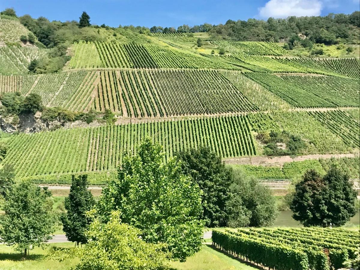 Apartmán Weinlofts An Der Mosel Mit E10 Ladestation Köwerich Exteriér fotografie