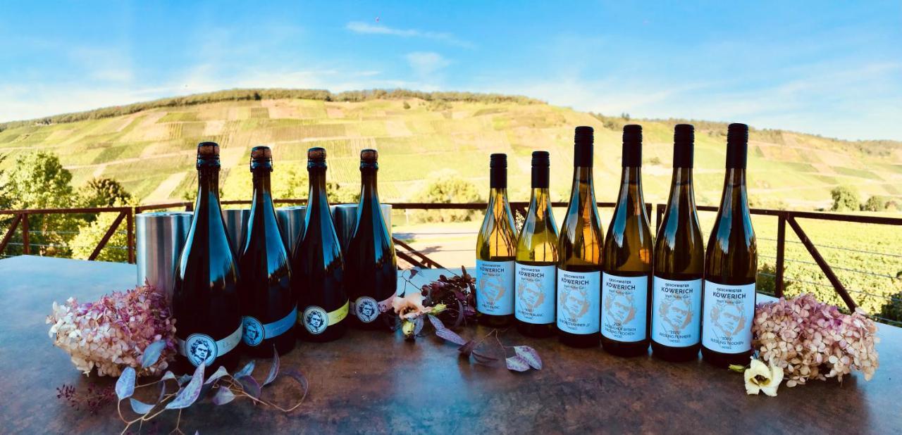 Apartmán Weinlofts An Der Mosel Mit E10 Ladestation Köwerich Exteriér fotografie