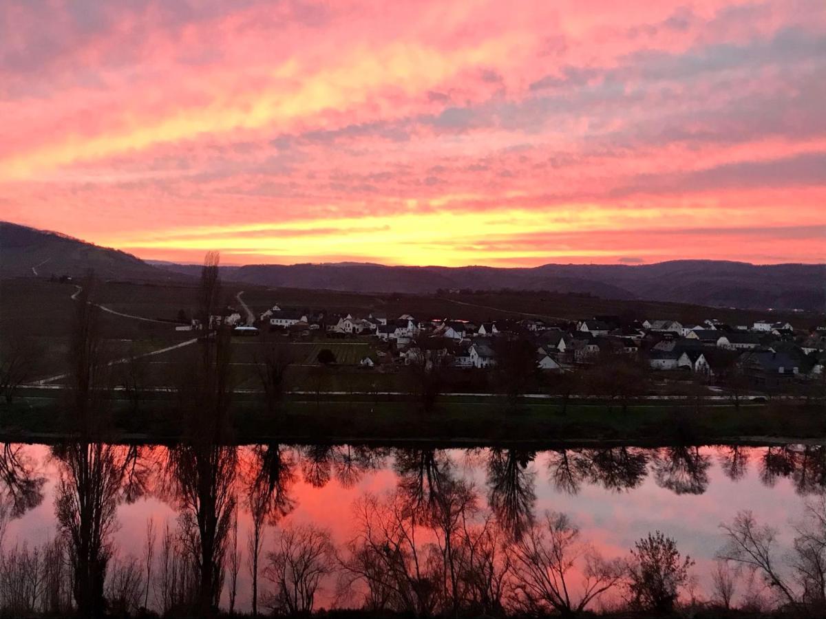Apartmán Weinlofts An Der Mosel Mit E10 Ladestation Köwerich Exteriér fotografie