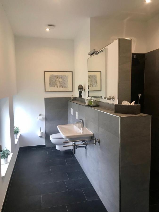 Apartmán Weinlofts An Der Mosel Mit E10 Ladestation Köwerich Exteriér fotografie