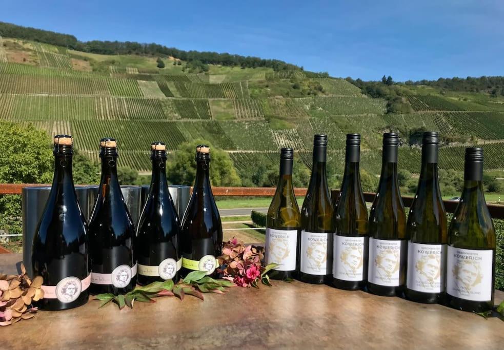 Apartmán Weinlofts An Der Mosel Mit E10 Ladestation Köwerich Exteriér fotografie